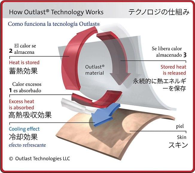 Sports Techno Dog Harness® – Baseball #2 - Image 2
