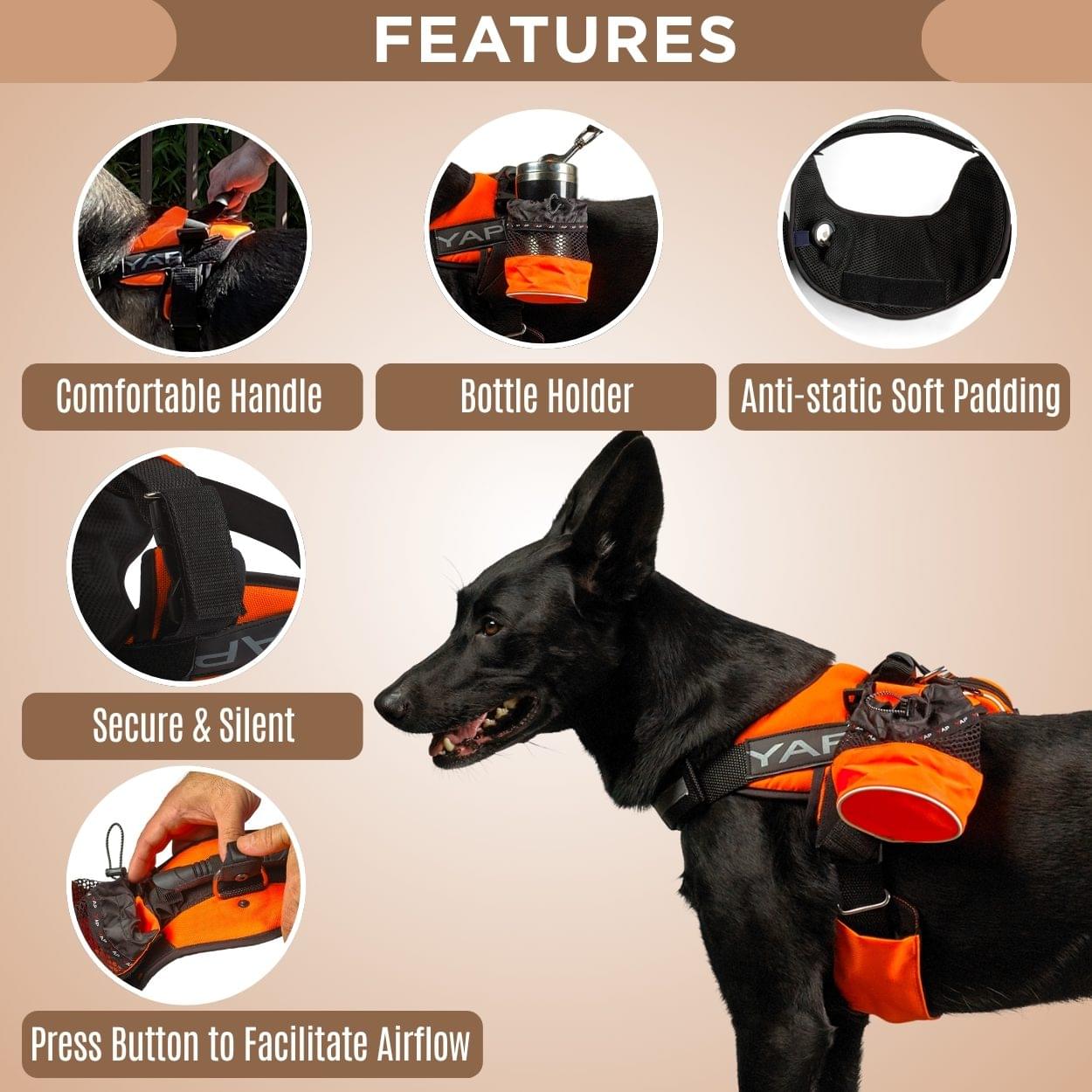 Beta Noir® Package Dog Harness for Larger Dogs - Image 3