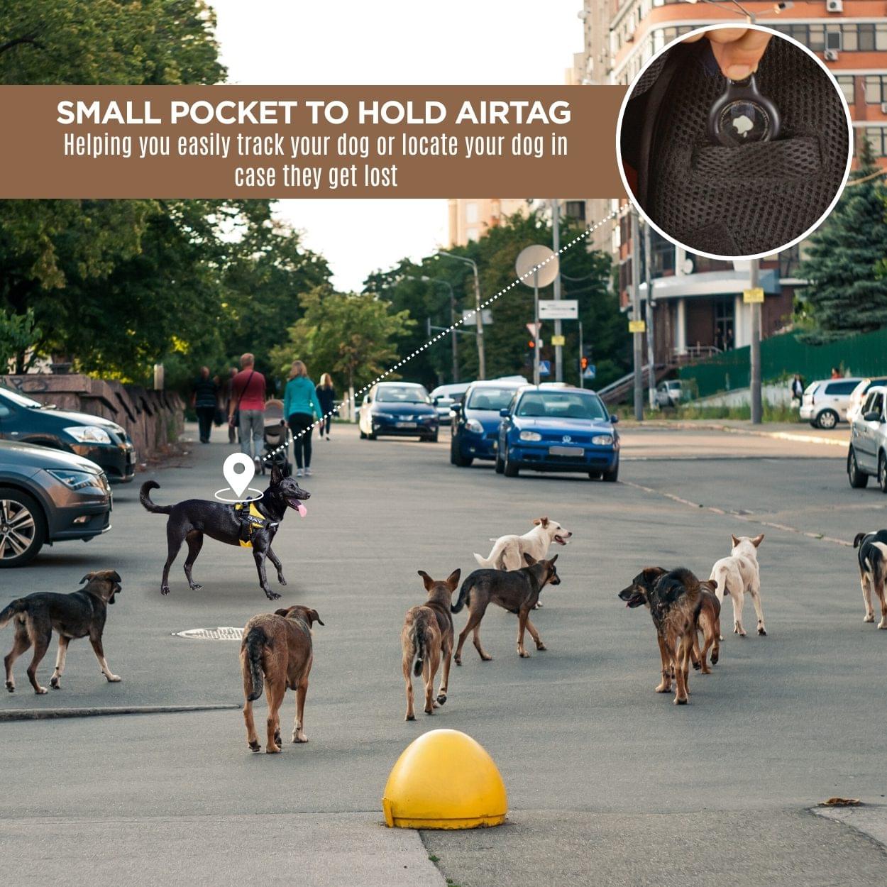 Beta Noir® Package Dog Harness for Larger Dogs - Image 6