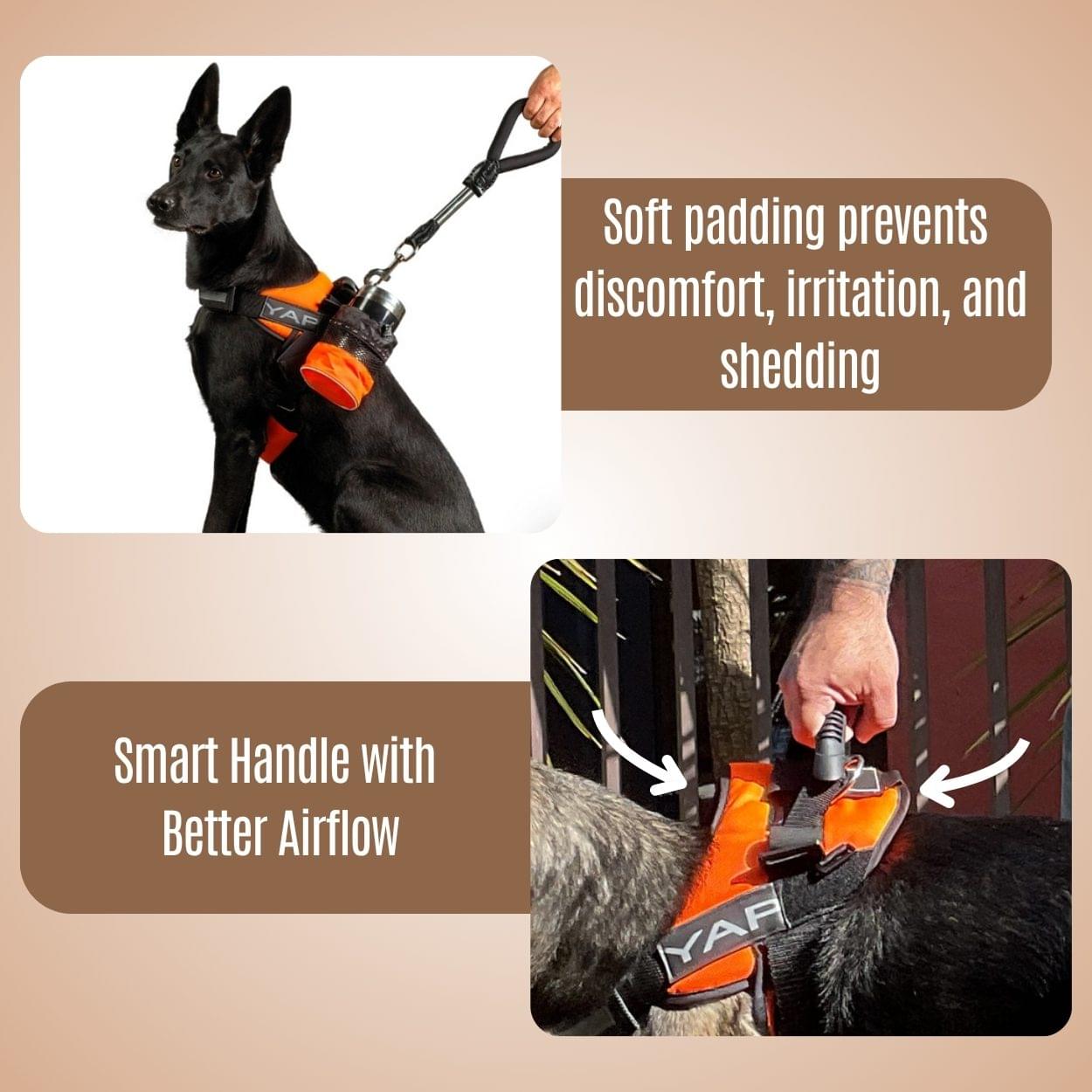 Beta Noir® Package Dog Harness for Larger Dogs - Image 7