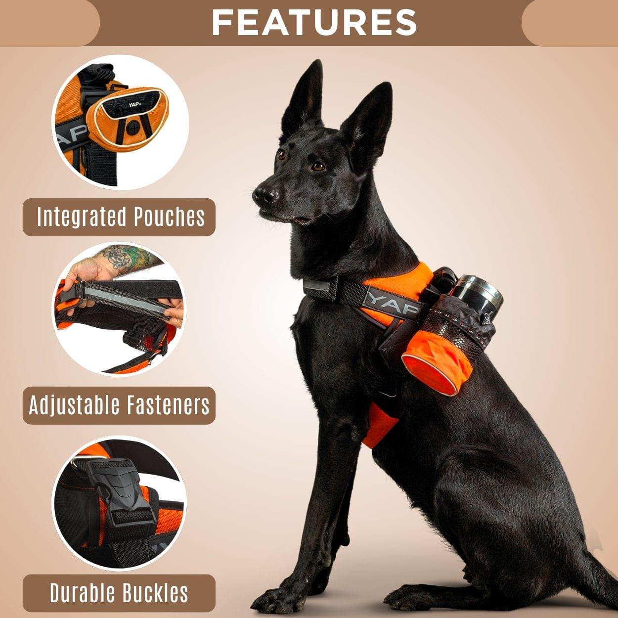 Beta Noir® Package Dog Harness for Larger Dogs - Image 5