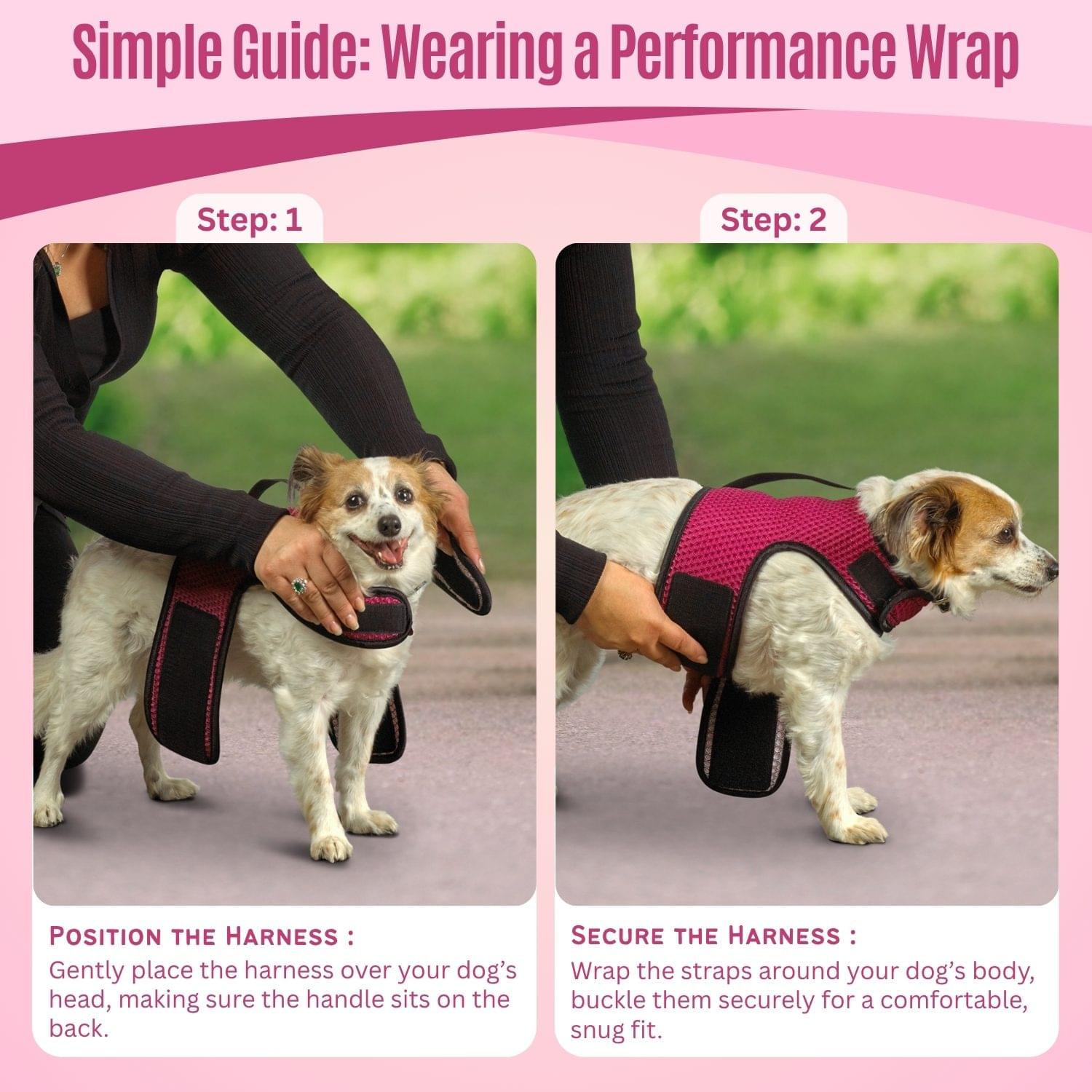 Performance Wrap® Dog Harness for Small-Medium Dogs 6 Performance Wrap® Dog Harness for Small-Medium Dogs - Image 6