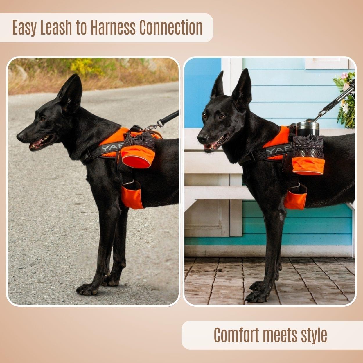 Beta Noir® Package Dog Harness for Larger Dogs - Image 4