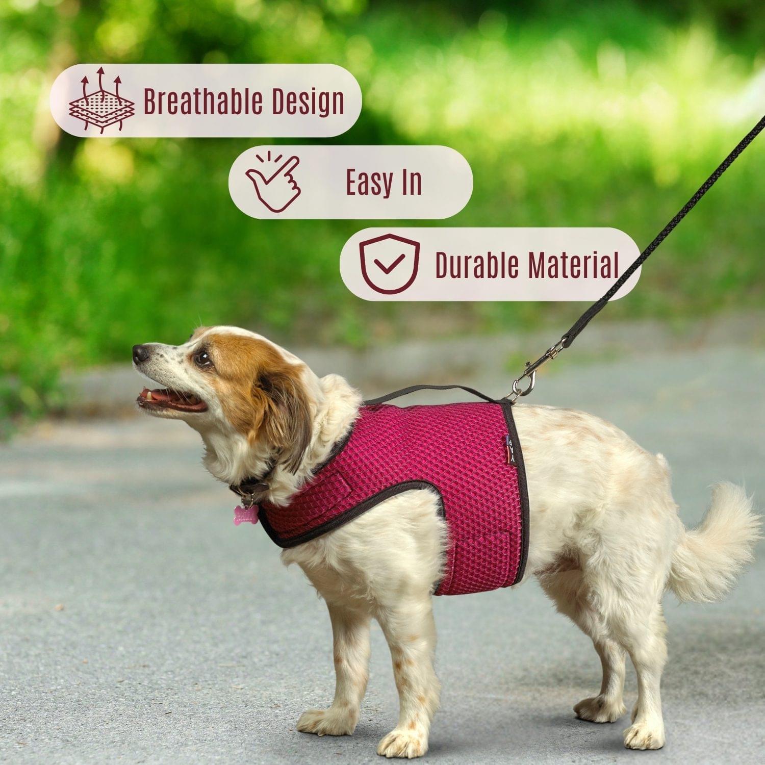 Performance Wrap® Dog Harness for Small-Medium Dogs 5 Performance Wrap® Dog Harness for Small-Medium Dogs - Image 5