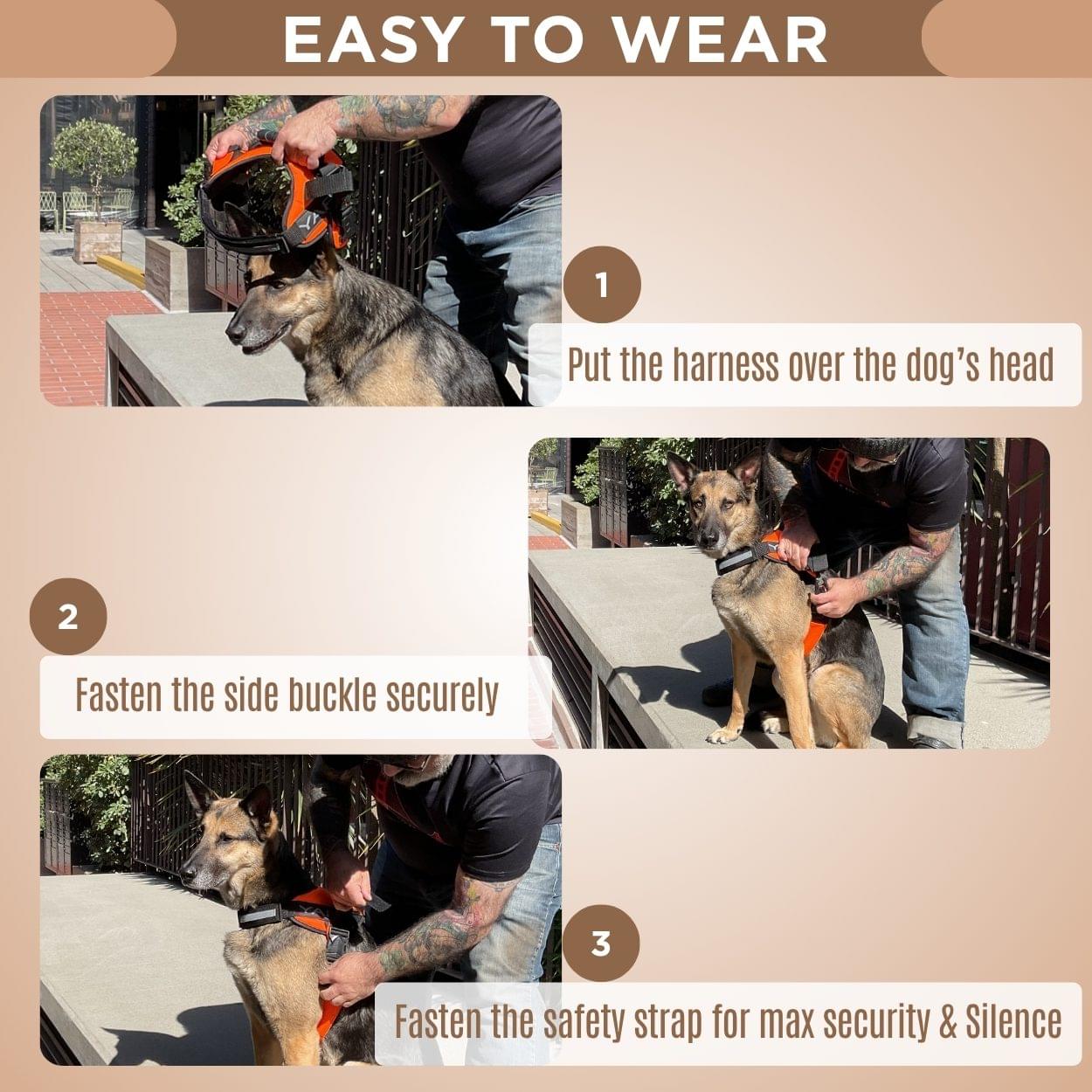 Beta Noir® Package Dog Harness for Larger Dogs - Image 9