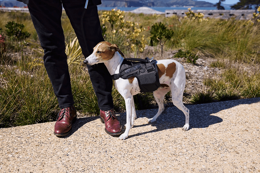 Baby Beta AirFlow - Image 2