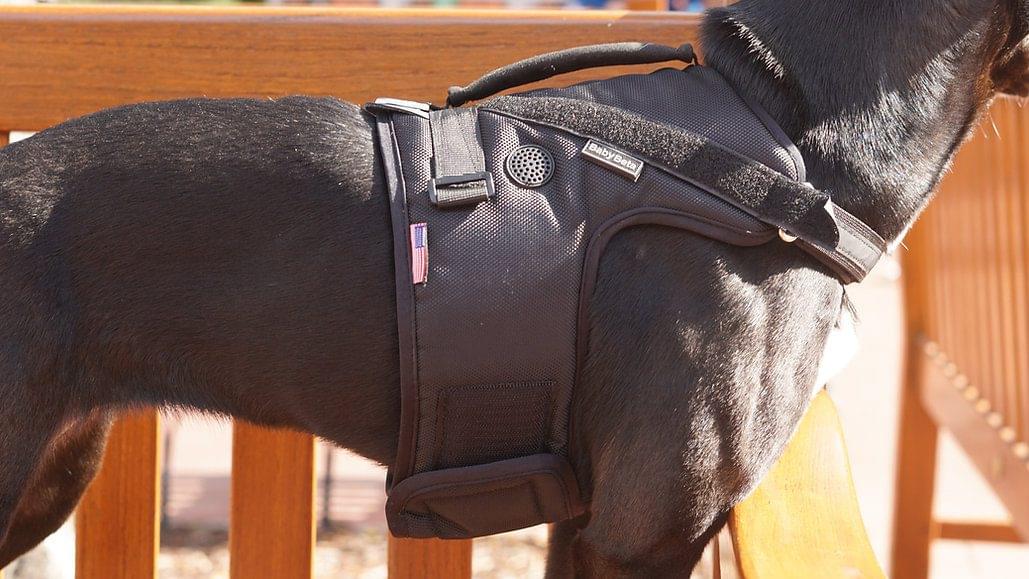 Baby Beta AirFlow - Image 3