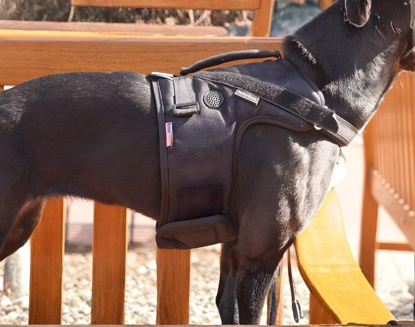 Baby Beta Airflow Tactical Dog Harness – Secure Fit 5 Baby Beta Airflow Tactical Dog Harness – Secure Fit - Image 5