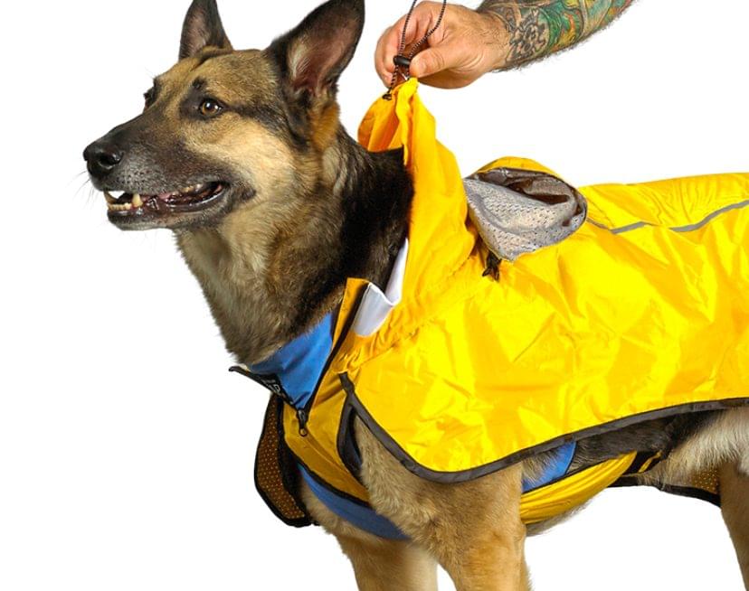Tru-Fit 2® Hooded Dog Rain Coat - Secure Fit for all dogs 3 Tru-Fit 2® Hooded Dog Rain Coat - Secure Fit for all dogs - Image 3