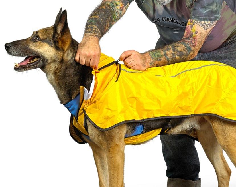 Tru-Fit 2® Hooded Dog Rain Coat - Secure Fit for all dogs 4 Tru-Fit 2® Hooded Dog Rain Coat - Secure Fit for all dogs - Image 4