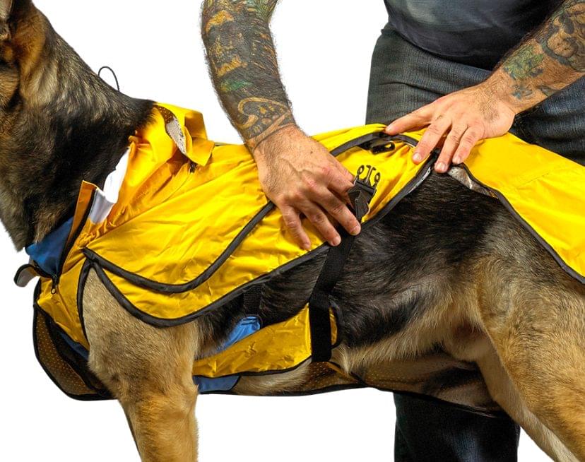 Tru-Fit 2® Hooded Dog Rain Coat - Secure Fit for all dogs 5 Tru-Fit 2® Hooded Dog Rain Coat - Secure Fit for all dogs - Image 5