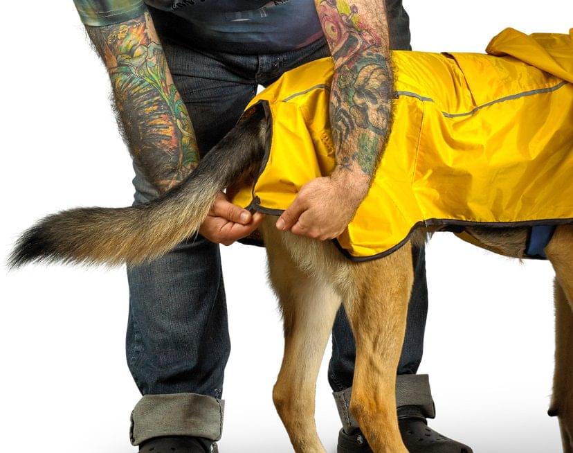 Tru-Fit 2® Hooded Dog Rain Coat - Secure Fit for all dogs 6 Tru-Fit 2® Hooded Dog Rain Coat - Secure Fit for all dogs - Image 6