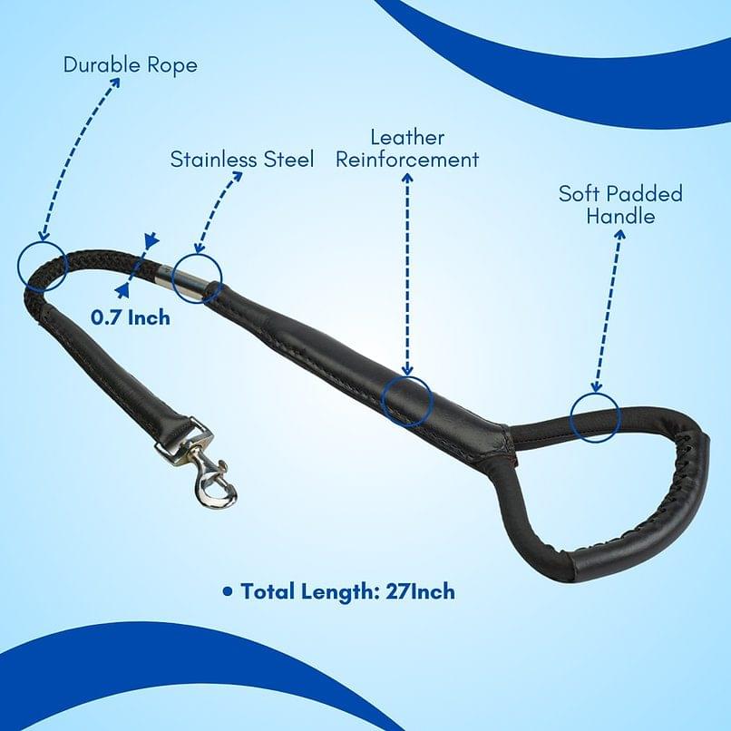 No. 27 Leash - Image 2