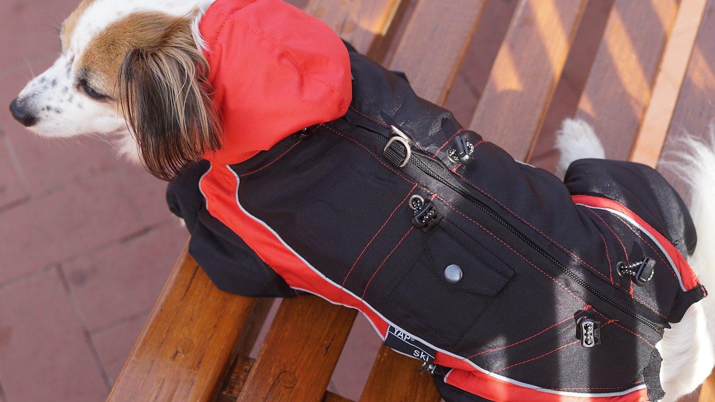 YAP Ski® Dog Jacket for Active Cold Weather - Light Weight 2 YAP Ski® Dog Jacket for Active Cold Weather - Light Weight - Image 2