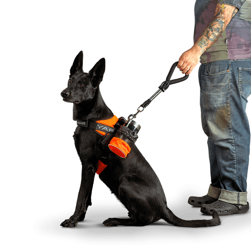 Short Compression Leash - Image 6