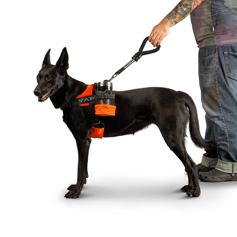 Short Compression Leash - Image 7