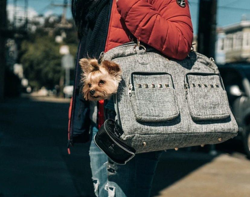 Metropolitan Dog Carrier