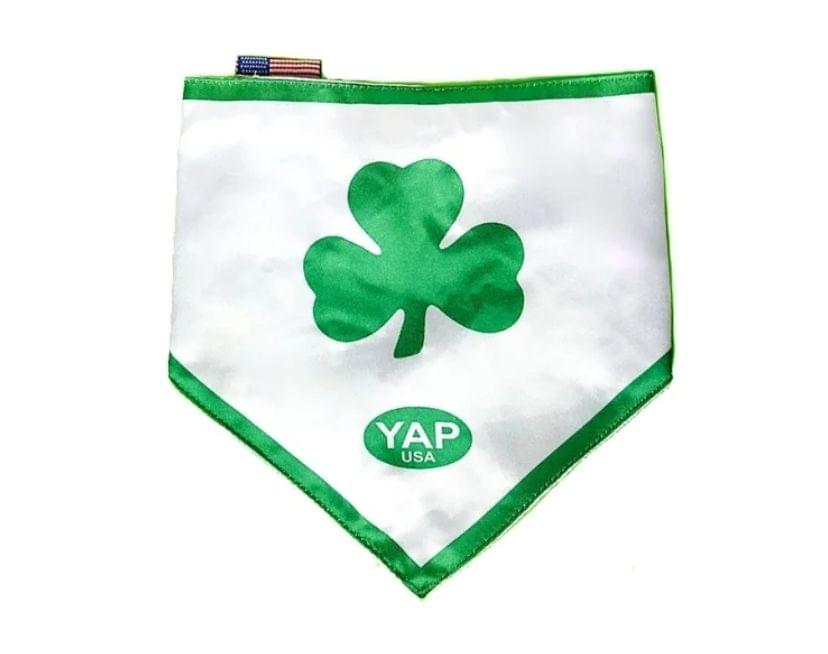 Accessories 7 Shamrock Dog Bandana