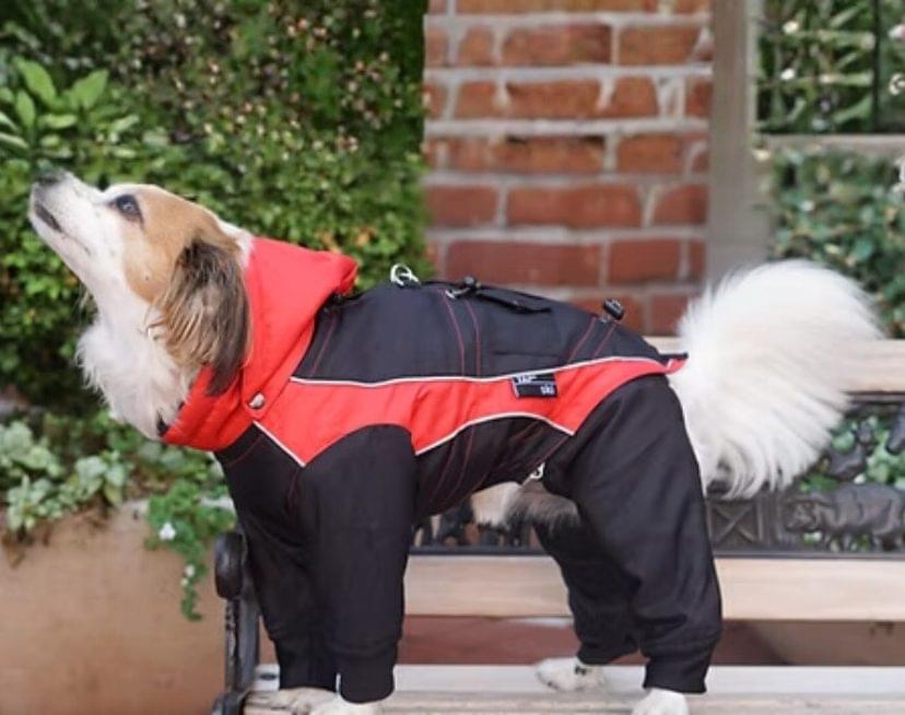 YAP Ski® Dog Jacket for Active Cold Weather - Light Weight 1 YAP Ski Adjustable Dog Jacket