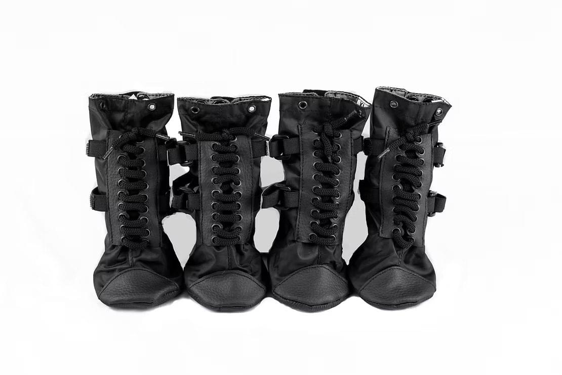 Are Dog Boots Necessary? A Simple Guide for Pet Owners