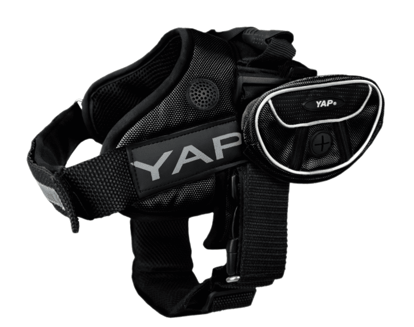 Beta Noir Dog Harness for Larger Dogs